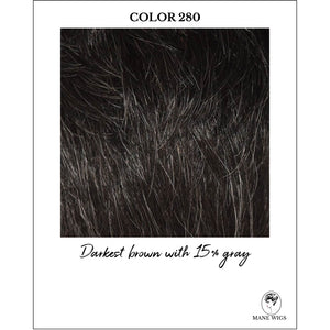 COLOR 280-Darkest brown with 15% gray