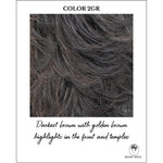 Load image into Gallery viewer, COLOR 2GR-Darkest brown with golden brown highlights in the front and temples

