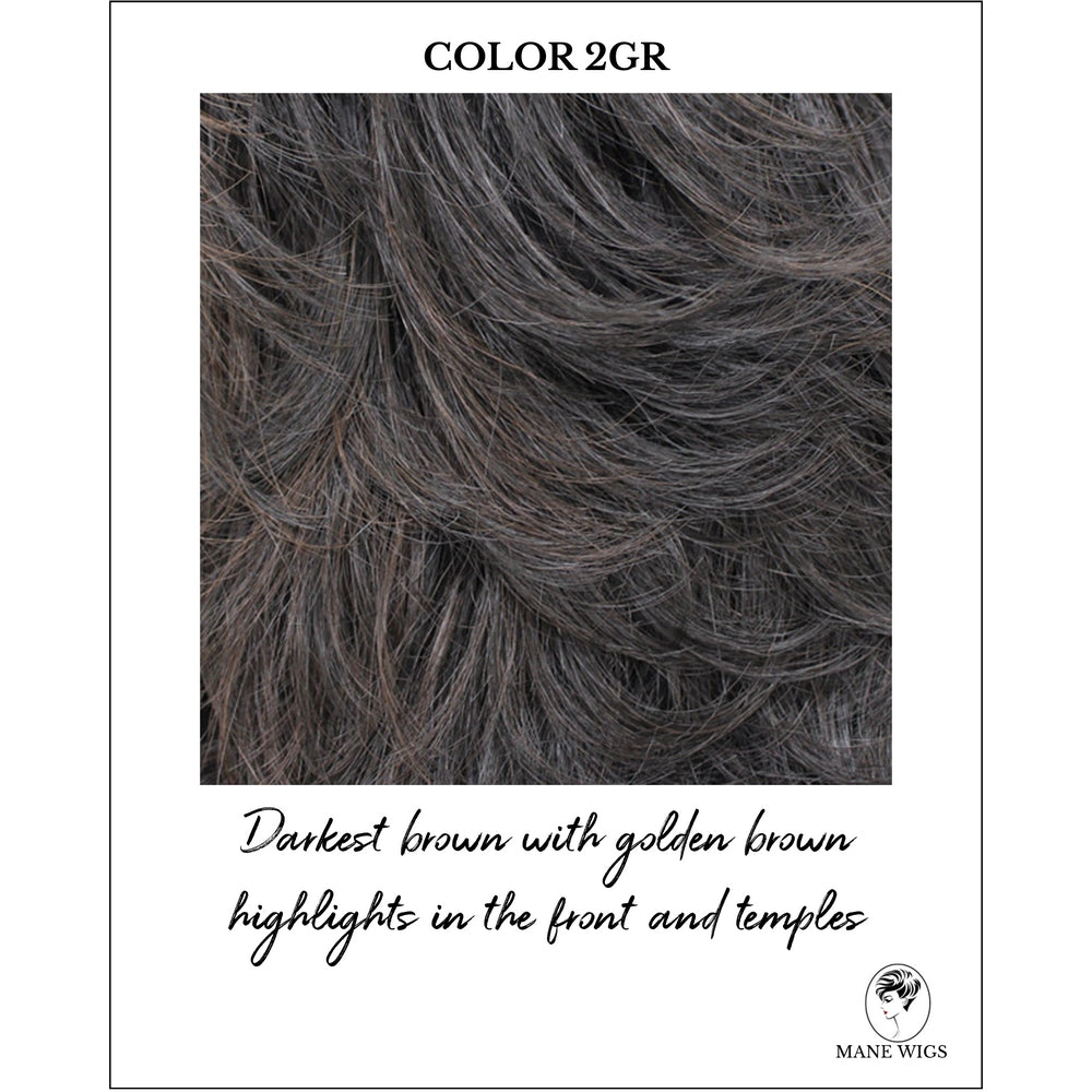 COLOR 2GR-Darkest brown with golden brown highlights in the front and temples