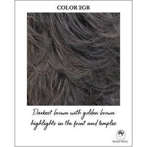 COLOR 2GR-Darkest brown with golden brown highlights in the front and temples