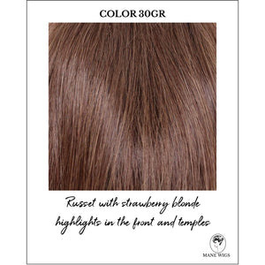 COLOR 30GR-Russet with strawberry blonde highlights in the front and temples