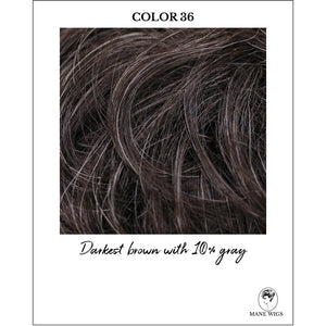 COLOR 36-Darkest brown with 10% gray