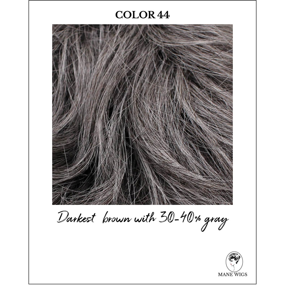 COLOR 44-Darkest  brown with 30-40% gray