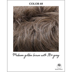 COLOR 48-Medium golden brown with 10% gray