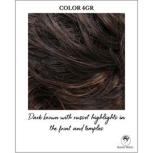 COLOR 4GR-Dark brown with russet highlights in the front and temples