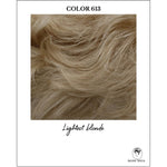 Load image into Gallery viewer, COLOR 613-Lightest blonde
