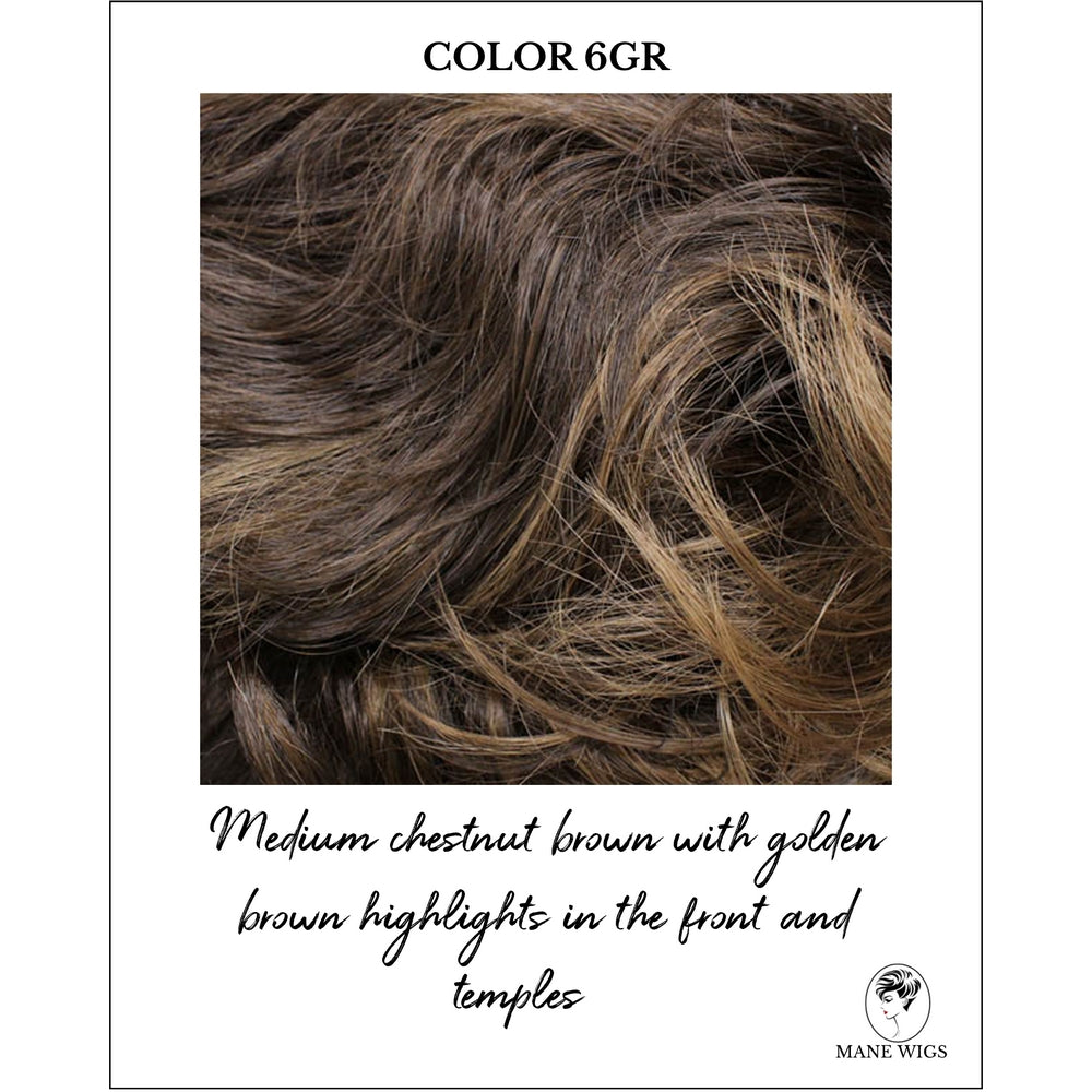 COLOR 6GR-Medium chestnut brown with golden brown highlights in the front and temples