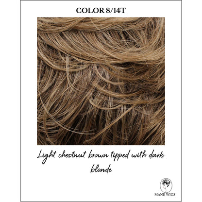 COLOR 8/14T-Light chestnut brown tipped with dark blonde