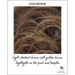 Load image into Gallery viewer, COLOR 8GR-Light chestnut brown with golden brown highlights in the front and temples
