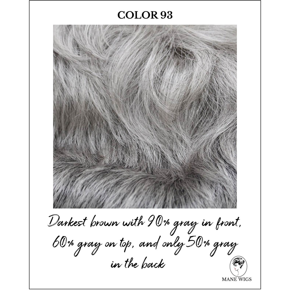 COLOR 93-Darkest brown with 90% gray in front, 60% gray on top, and only 50% gray in the back
