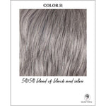 Load image into Gallery viewer, 51-50/50 blend of black and silver
