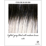 Load image into Gallery viewer, 56/60/R8-Lightest gray blend with medium brown roots
