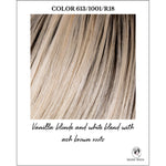 Load image into Gallery viewer, 613/1001/R18-Vanilla blonde and white blend with ash brown roots
