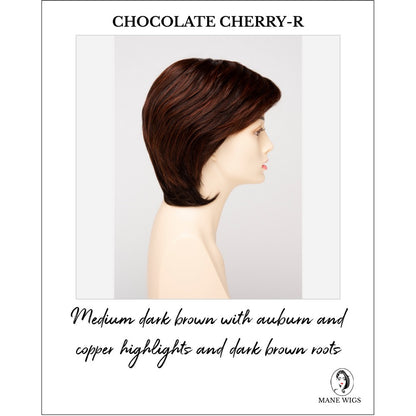 Coti By Envy in Chocolate Cherry-R-Medium dark brown with auburn and copper highlights and dark brown roots