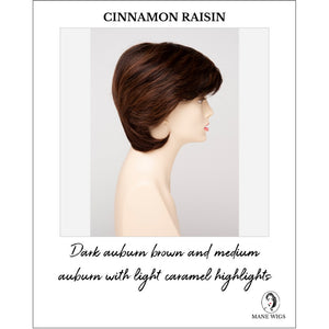 Coti By Envy in Cinnamon Raisin-Dark auburn brown and medium auburn with light caramel highlights