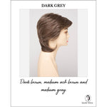 Load image into Gallery viewer, Coti By Envy in Dark Grey-Dark brown, medium ash brown and medium gray
