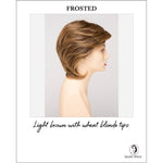 Load image into Gallery viewer, Coti By Envy in Frosted-Light brown with wheat blonde tips
