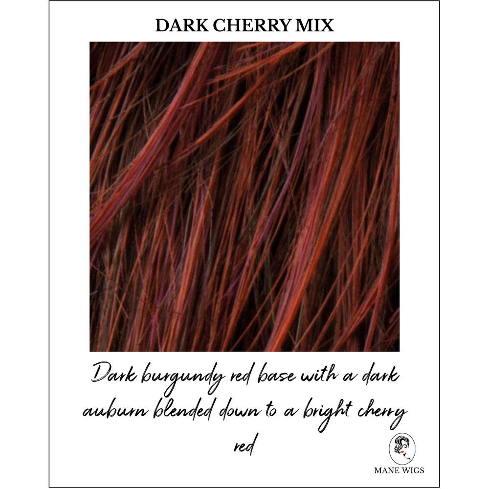 Dark Cherry Mix_Dark burgundy red base with a dark auburn blended down to a bright cherry red