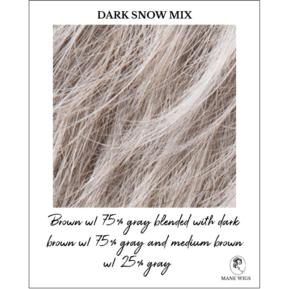 Dark Snow Mix-Brown w/ 75% gray blended with dark brown w/ 75% gray and medium brown w/ 25% gray