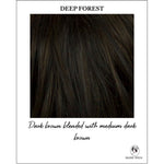 Load image into Gallery viewer, Deep Forest-Dark brown blended with medium dark brown

