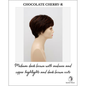 Destiny By Envy in Chocolate Cherry-R-Medium dark brown with auburn and copper highlights and dark brown roots