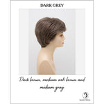 Load image into Gallery viewer, Destiny By Envy in Dark Grey-Dark brown, medium ash brown and medium gray
