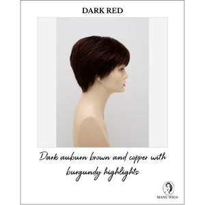 Destiny By Envy in Dark Red-Dark auburn brown and copper with burgundy highlights