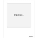 Load image into Gallery viewer, Divider for Balayage Colors
