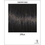 Load image into Gallery viewer, Ebony (R2)-Black
