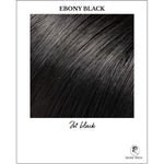 Load image into Gallery viewer, Ebony Black-Jet black
