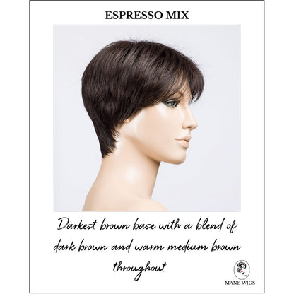 Elan in Espresso Mix-Darkest brown base with a blend of dark brown and warm medium brown throughout 
