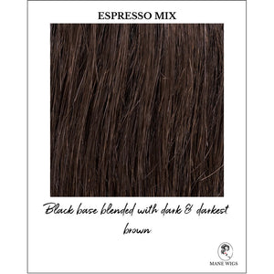 En Vogue by Ellen Wille in Espresso Mix-Black base blended with dark & darkest brown