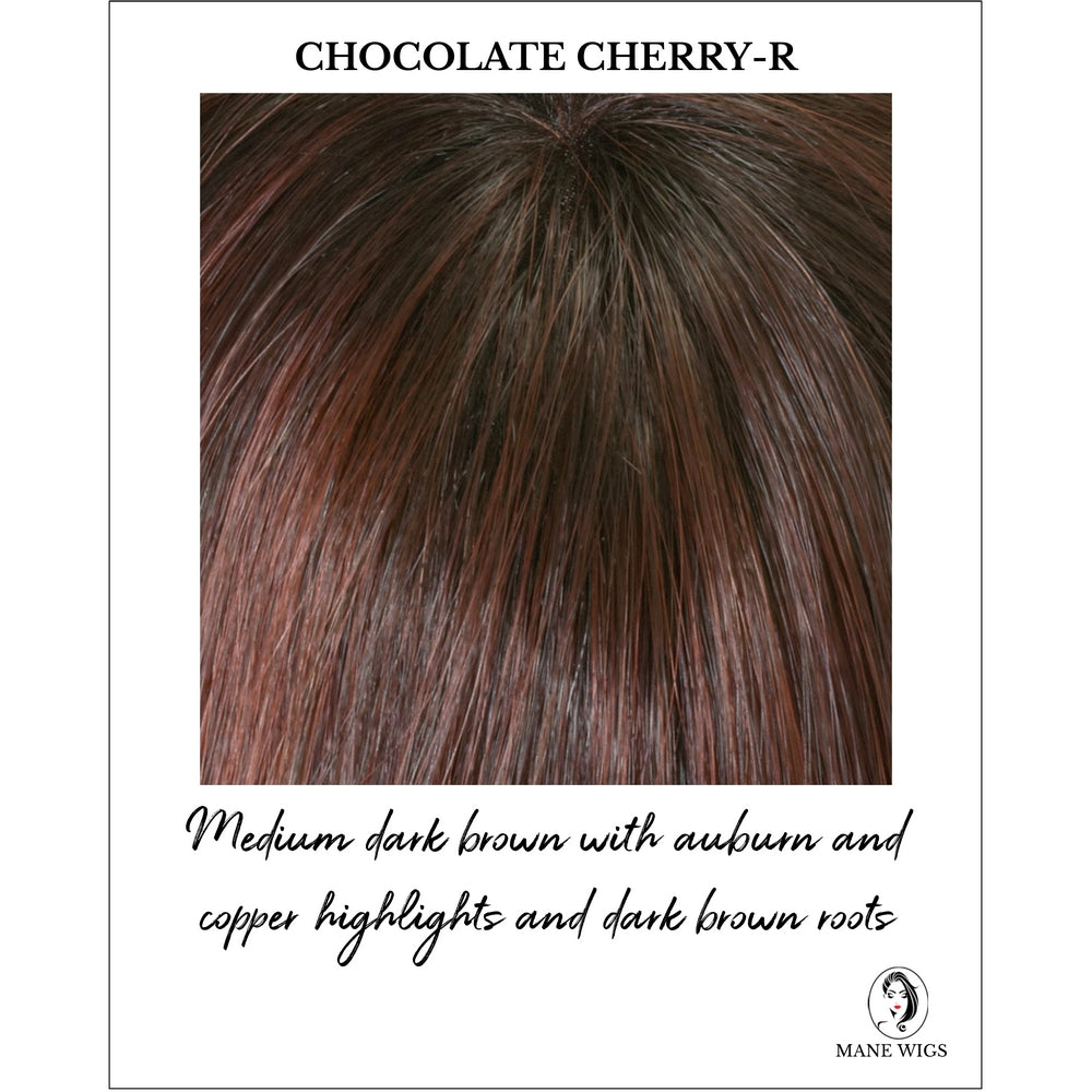 Danielle By Envy in Chocolate Cherry-R-Medium dark brown with auburn and copper highlights and dark brown roots