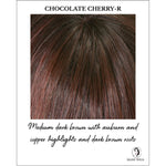 Load image into Gallery viewer, Danielle By Envy in Chocolate Cherry-R-Medium dark brown with auburn and copper highlights and dark brown roots
