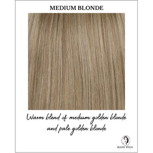 Medium Blonde-Warm blend of medium golden blonde and pale golden blonde