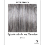 Load image into Gallery viewer, Flame By Envy in Medium Grey-Soft white with silver and 20% medium brown
