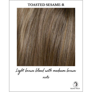 Flame By Envy in Toasted Sesame-R-Light brown blend with medium brown roots