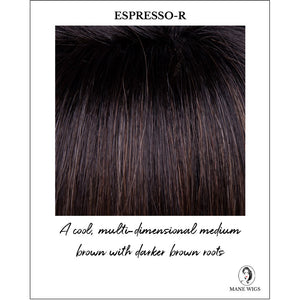 Espresso-R-A cool, multi-dimensional medium brown with darker brown roots