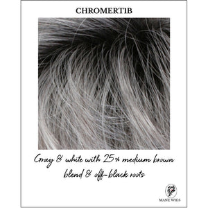 CHROMERT1B-Gray & white with 25% medium brown blend & off-black roots