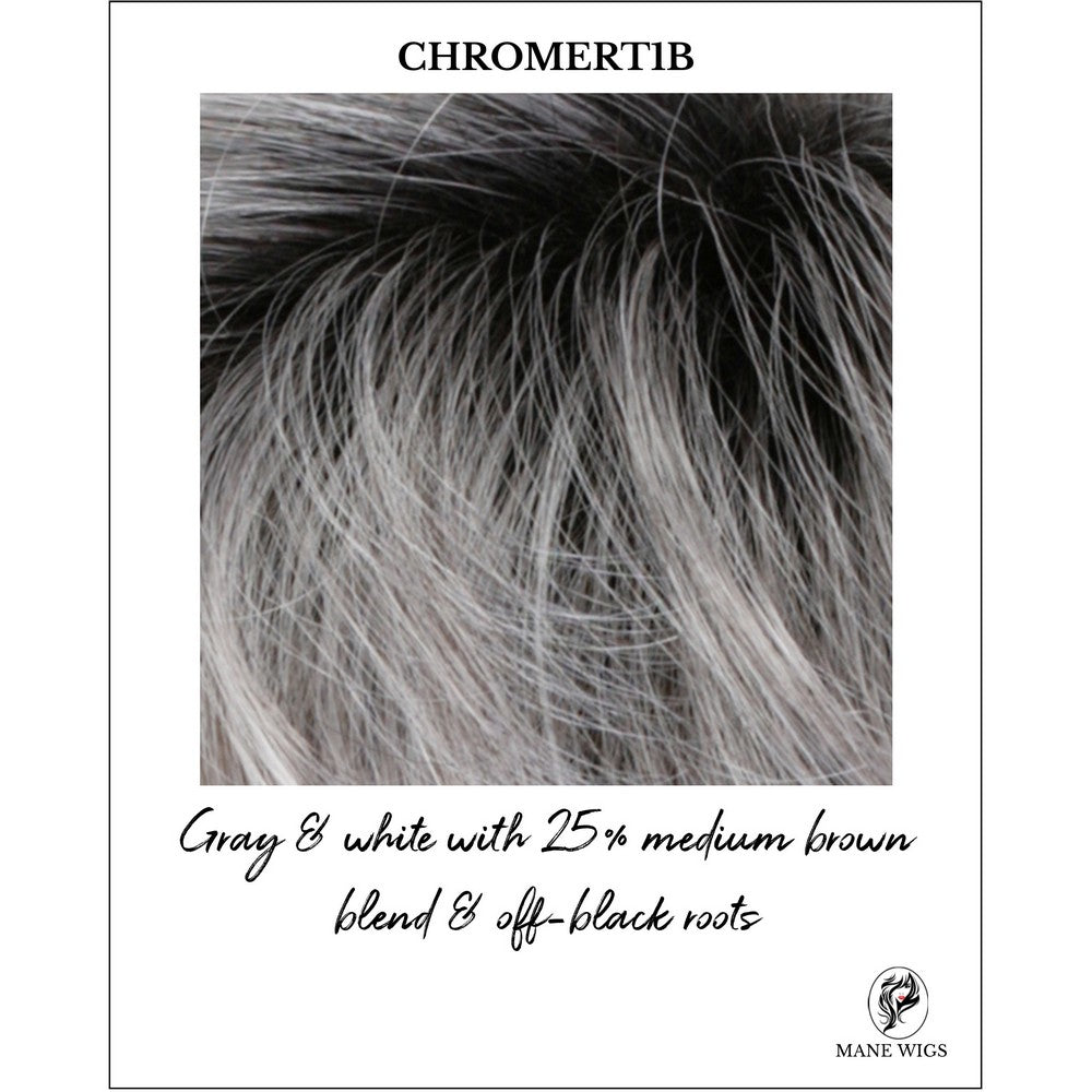 CHROMERT1B-Gray & white with 25% medium brown blend & off-black roots