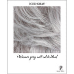 Load image into Gallery viewer, ICED GRAY-Platinum gray with white blend
