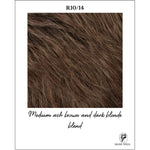 Load image into Gallery viewer, R10/14-Medium ash brown and dark blonde blend
