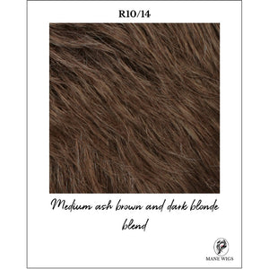 R10/14-Medium ash brown and dark blonde blend