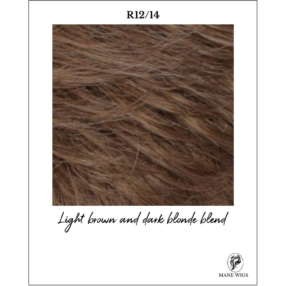 R12/14-Light brown and dark blonde blend