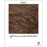 Load image into Gallery viewer, R12/14-Light brown and dark blonde blend
