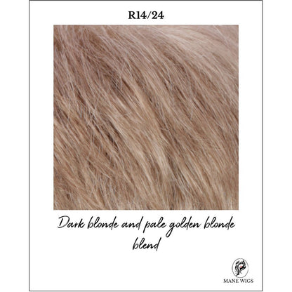 R14/24-Dark blonde and pale golden blonde blend