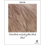 Load image into Gallery viewer, R14/24-Dark blonde and pale golden blonde blend
