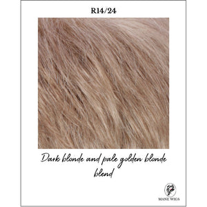 R14/24-Dark blonde and pale golden blonde blend