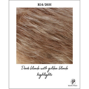 R14/26H-Dark blonde with golden blonde highlights