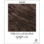 Load image into Gallery viewer, R14/8H-Golden brown with dark blonde highlights on top
